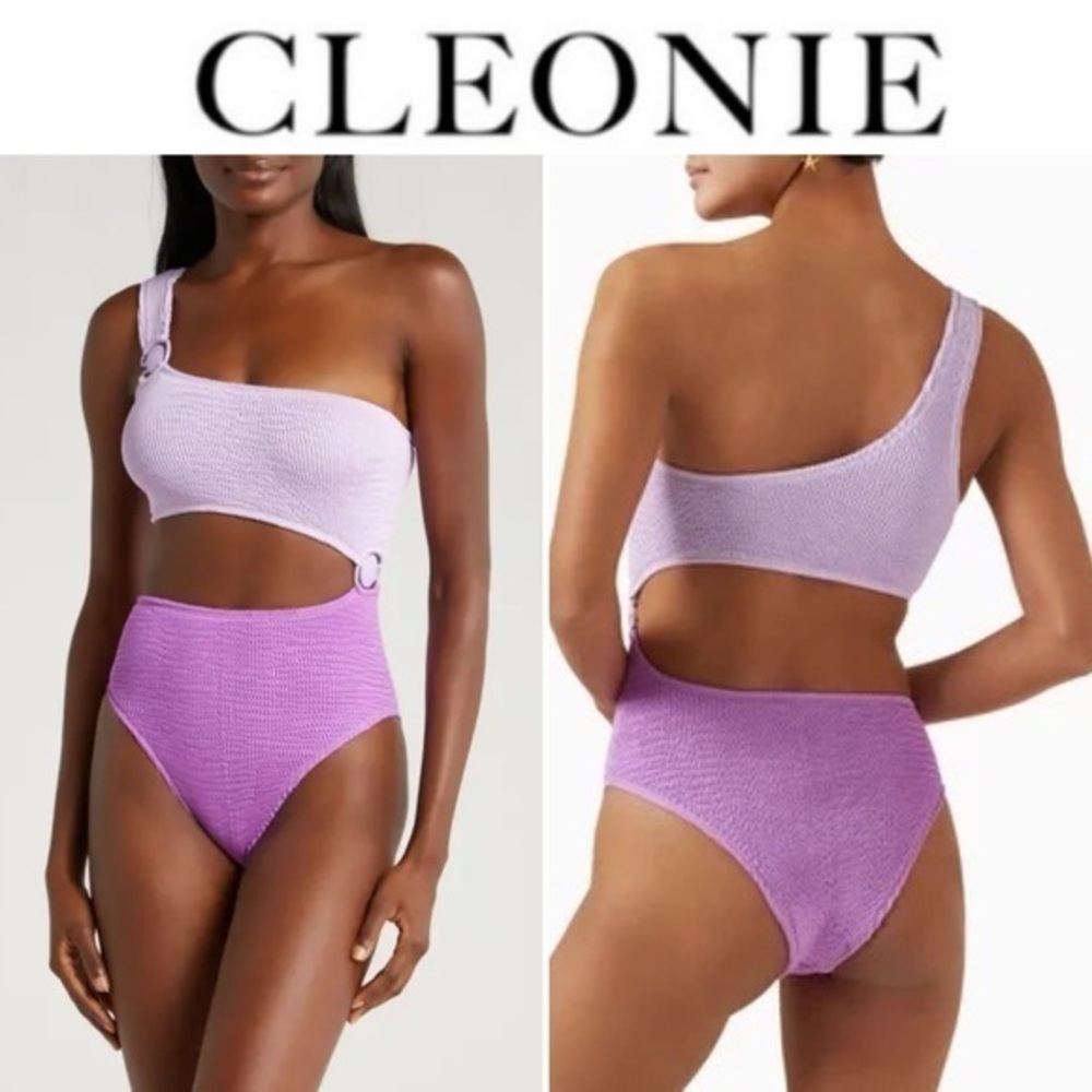 CLEONIE SWIM Dana Cut-out One-piece Swimsuit in Purple OS 180$